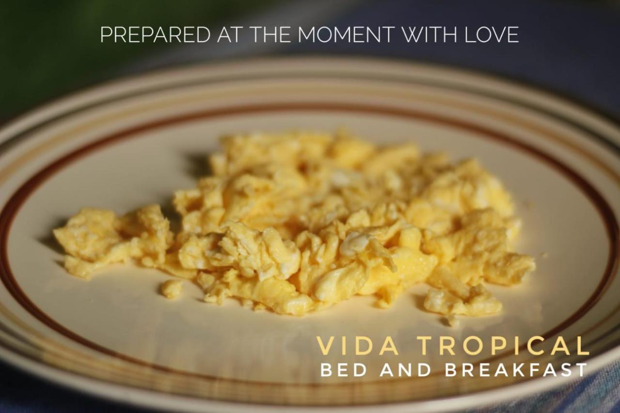 Vida Tropical Bed and Breakfast Alajuela Exterior foto