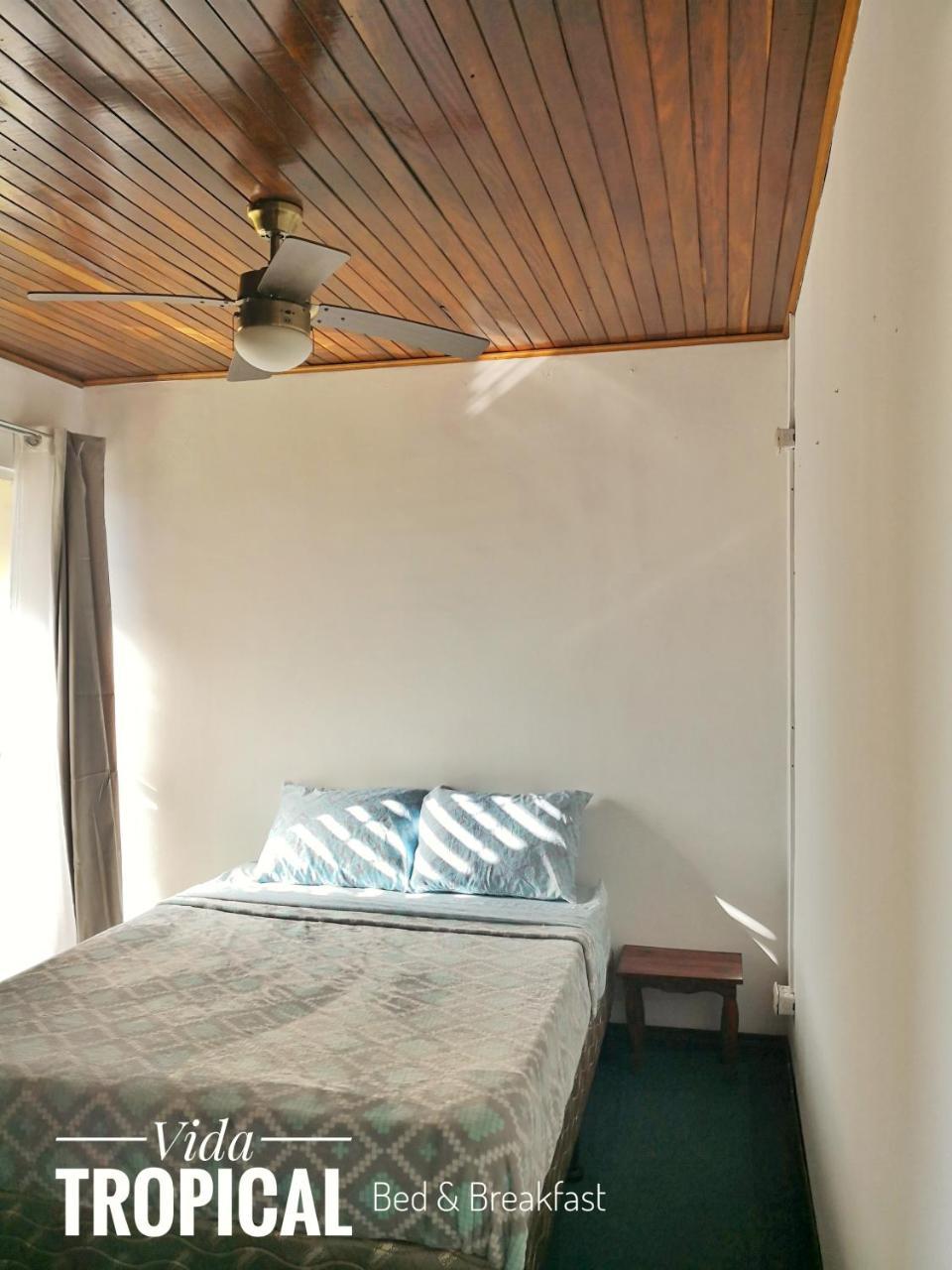 Vida Tropical Bed and Breakfast Alajuela Exterior foto